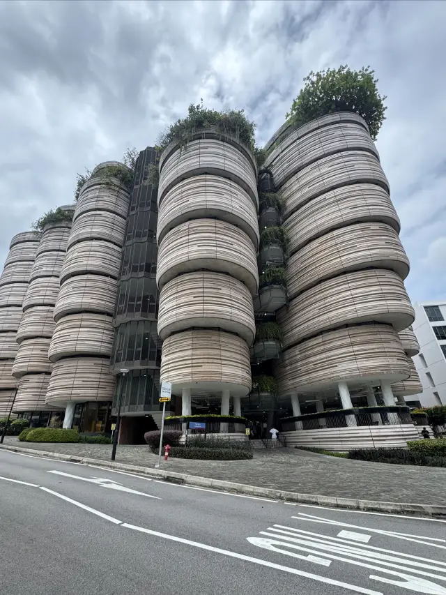 Winter Vacation Trip 4 - Singapore Edition (Days 10-12)