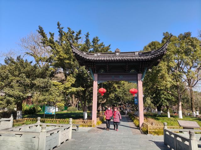 寧波中山公園遇上早春紅梅！