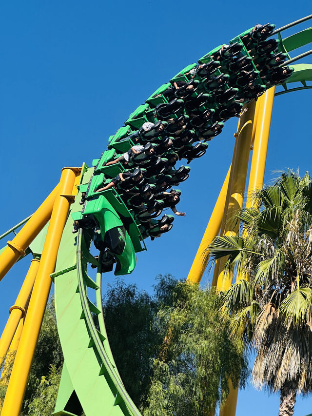 Experience the Thrill of Six Flags Magic Mountain