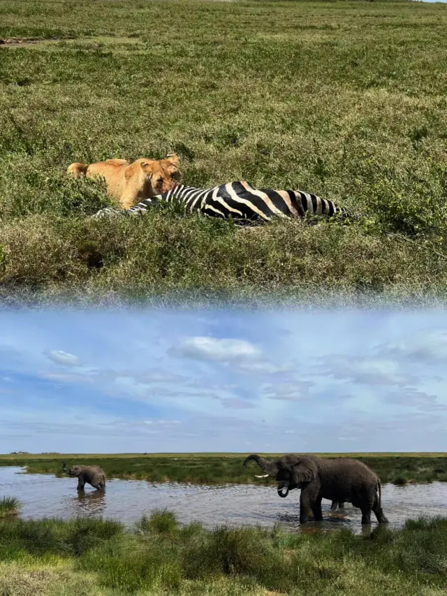 Why You Should Visit Tanzania in February (Detailed Guide)