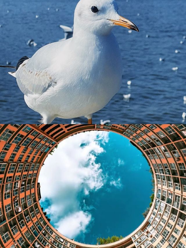 昆明打卡，不走回頭路。