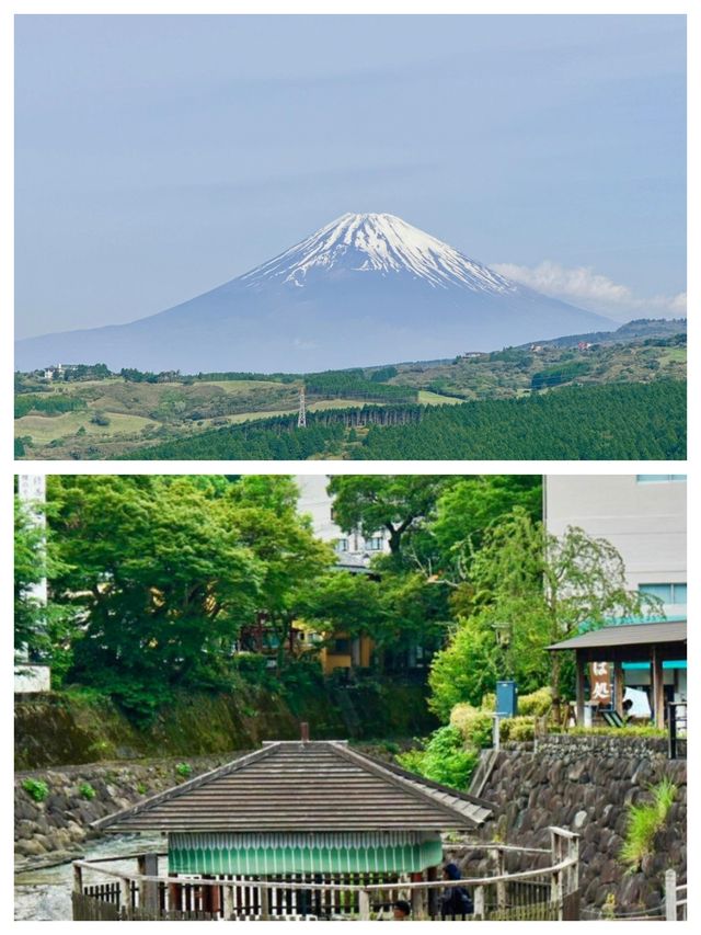 探索日本三島市：自然與文化的完美融合