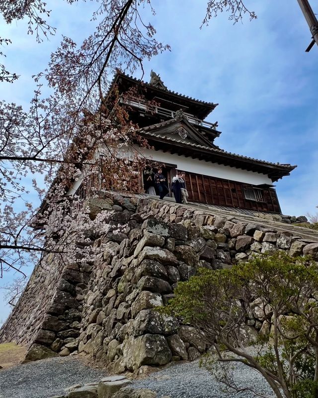 赴一場丸岡城的春日之約