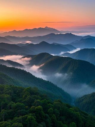 Хайнань Чанцзян | Как играть в национальном лесном парке «Баванлин»? Скопируйте оригинал!