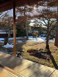 日本7日遊 看這篇攻略就夠了