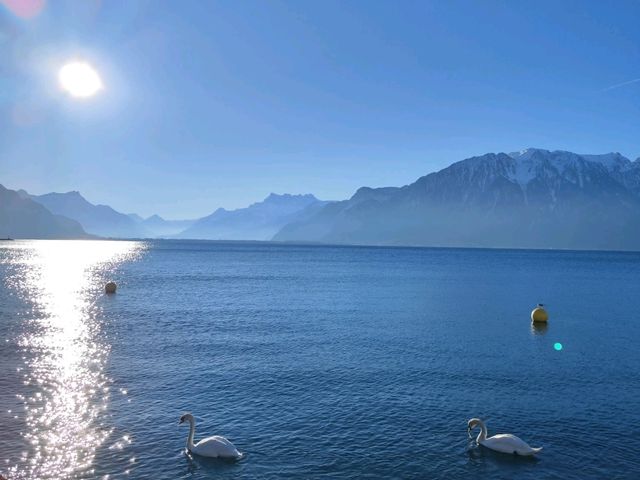 Lake Geneva from Vevey: A Picture-Perfect View 🌅🌊