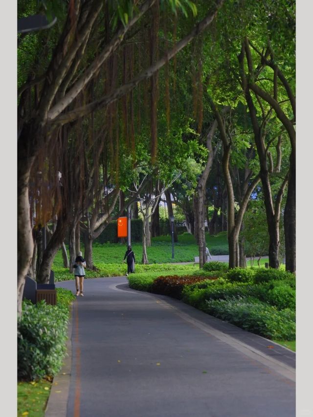 廈門寶藏公園竟然還有人不知道！