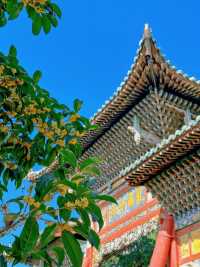 千年古蹟，忠義之旅的完美打卡地