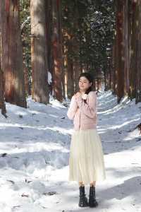 日本賞雪小眾目的地長野戶隱神社全攻略