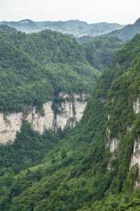 我在畢節找到一個原始森林高原峽谷秘境｜大方油杉河景區
