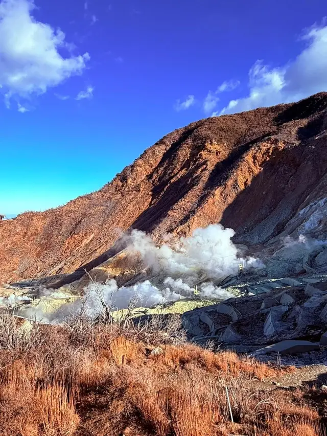9-Day Tour of Japan: A Super Detailed Guide You Won't Want to Miss