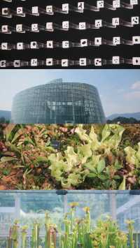 昆明植物園｜我不允許還有人沒去過。