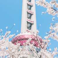 東方明珠｜四月花神🌸