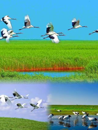 Hecheng Qiqihar: Discover the Diverse Beauty of North China