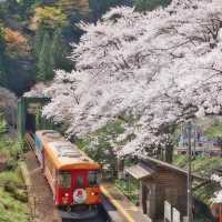 🌸名古屋 | 原以為嵐山電車已美極，直至我來到這裡…