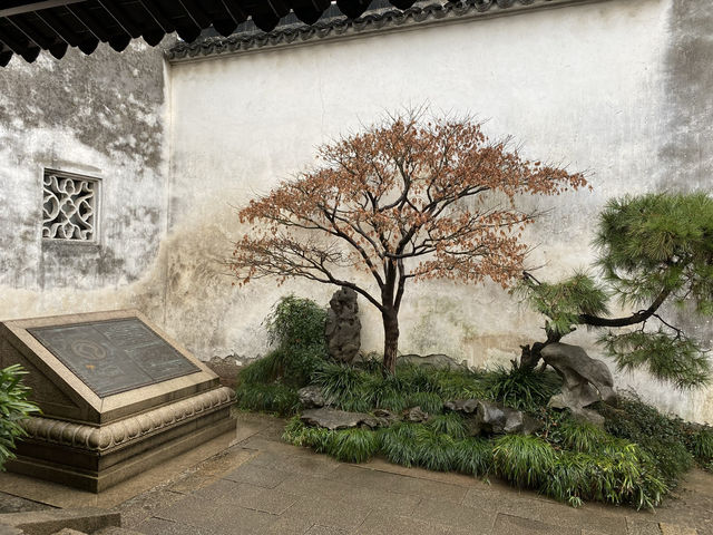 蘇州藝圃：明代文人園林的隱世佳作💫 