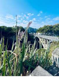 重慶-宜昌4日遊攻略 玩轉兩地不踩雷