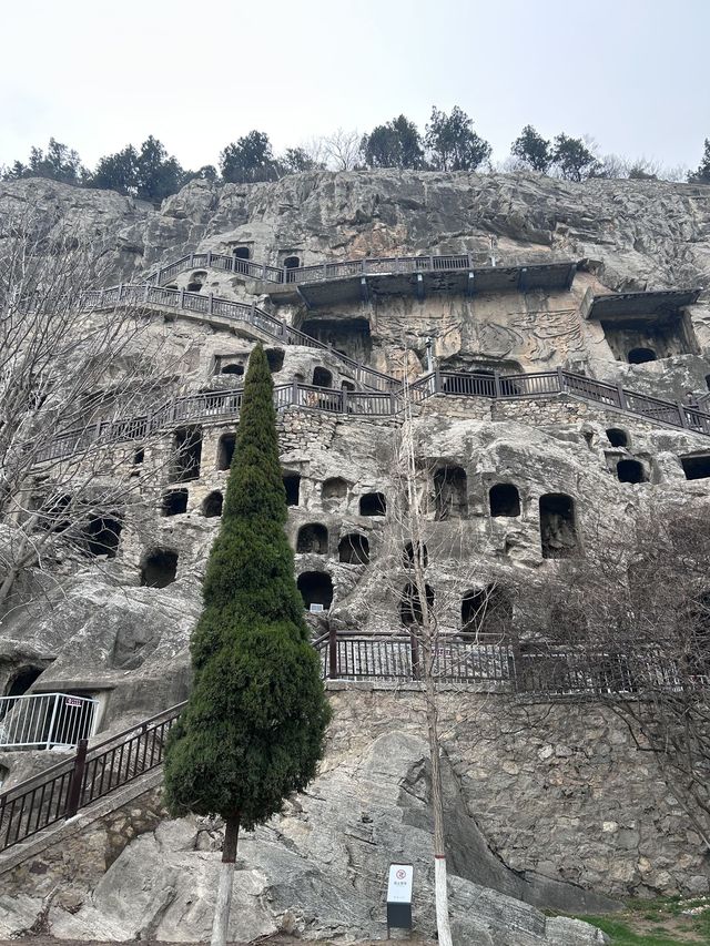 洛陽等地老年遊超詳細攻略爸媽出遊必備