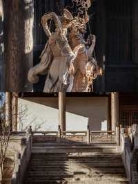 以為烏鎮已是江南至美，直到踏入嘉興濮院......