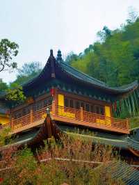 探秘良渚大雄講寺，這裡竟然藏了這麼多秘密！