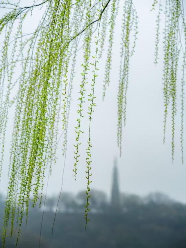 江南煙雨篇——西湖春天