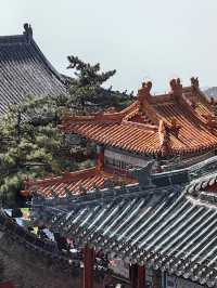 春天就要上春山 | 東嶽泰山~~省體力遊覽攻略