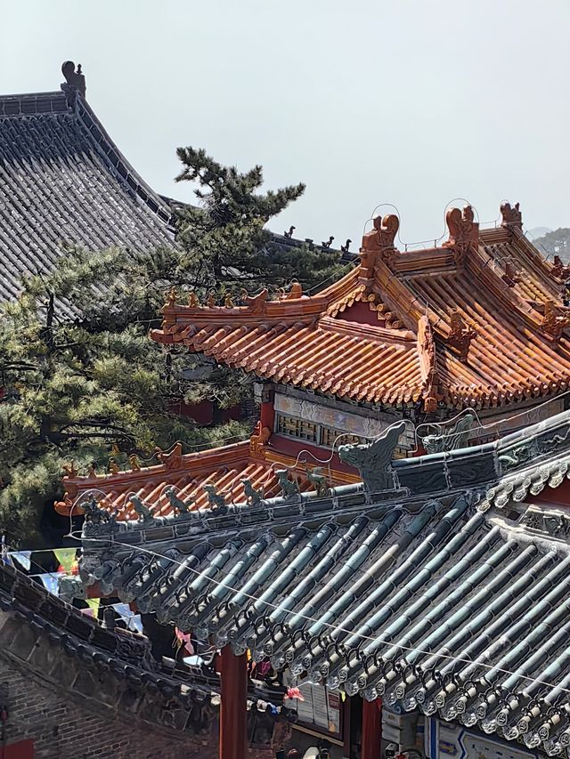 春天就要上春山 | 東嶽泰山~~省體力遊覽攻略