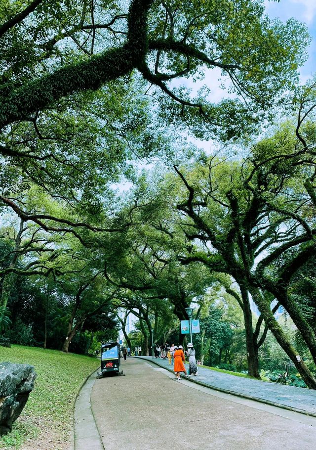 南寧人民公園，寶藏遛娃遊玩攻略