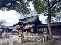 宇治古韻，縣神社的靜謐遊覽