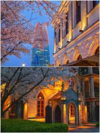 寧波已回，真不建議3月去因為一首歌來到一座城