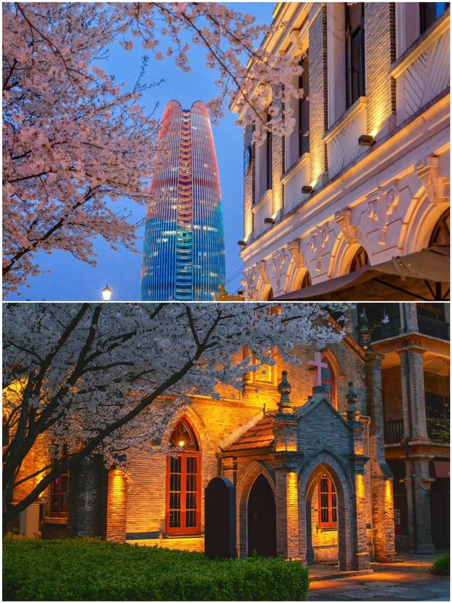 寧波已回，真不建議3月去因為一首歌來到一座城