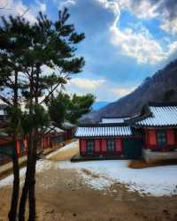 聞慶市竟然藏著韓國懸崖咖啡廳、粉色海洋、千年山城...