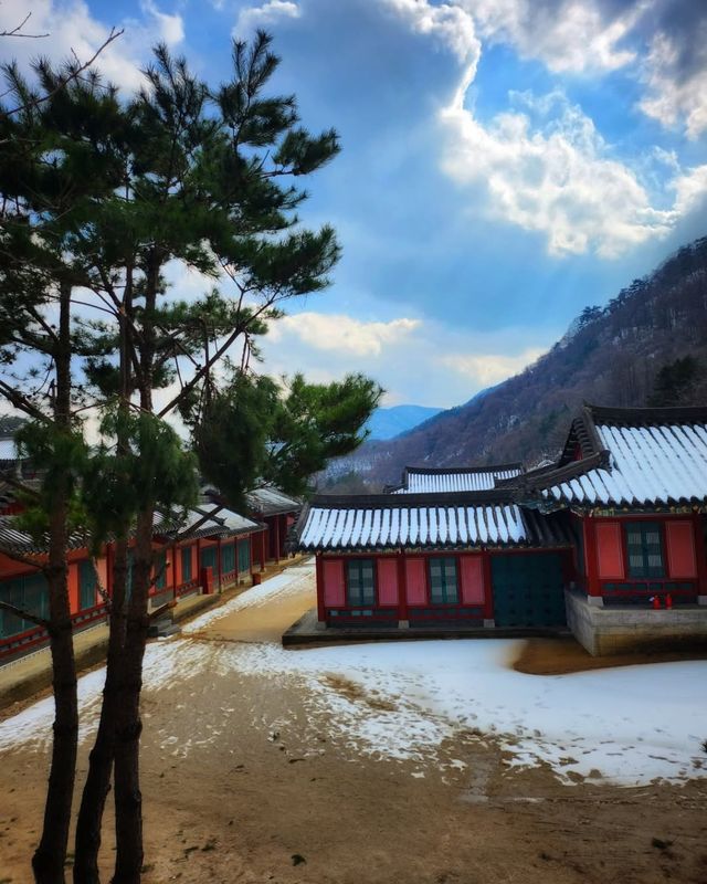 聞慶市竟然藏著韓國懸崖咖啡廳、粉色海洋、千年山城...