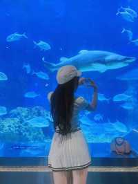 親測廣州海洋館真係好玩又好拍