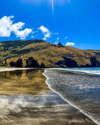 Banks Peninsula, New Zealand | A Hidden Paradise on the South Island!