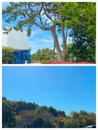 韓國麗水海岸的蔚藍詩行，等你來續寫