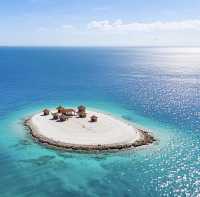 達曼珊瑚島：沙特阿拉伯的海濱明珠之旅