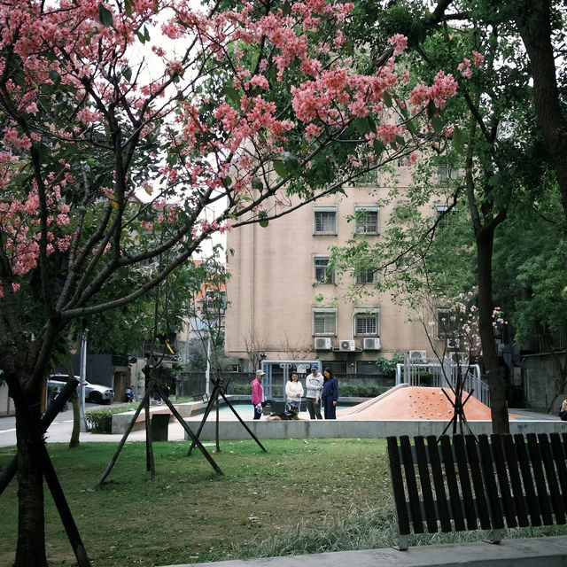 台北·最後的春和景明🥀