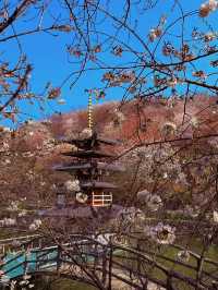 《千島湖：千顆翡翠落人間，一湖秀色醉流年》