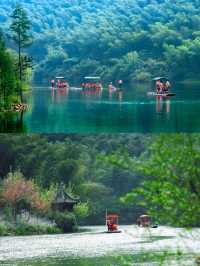 南山竹海 | 和我一起登山去~