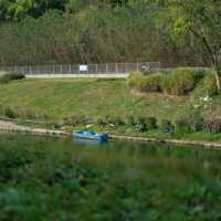 深圳中心公園 | 城市裡的悠然桃源