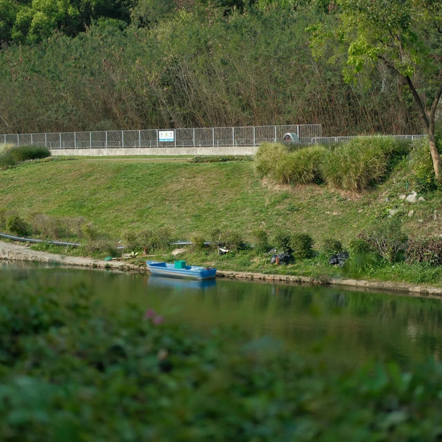 深圳中心公園 | 城市裡的悠然桃源