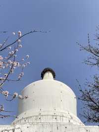 必看！北京北海公園超詳細遊玩攻略