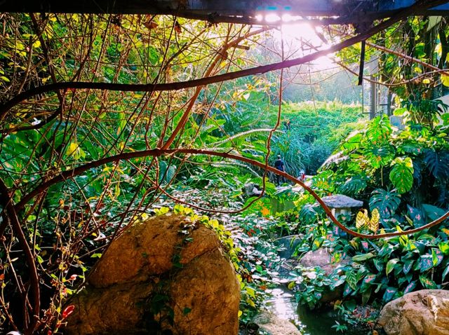 Pinghu Ecological Park: A Bustling City Green Paradise
