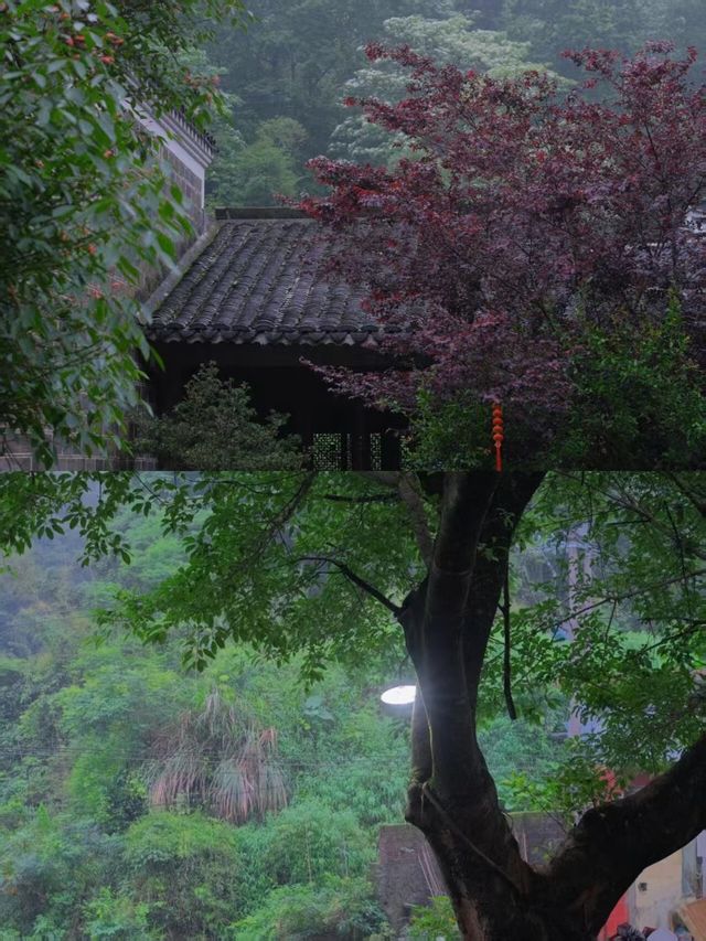 廣東呢個避世秘境，簡直係被嚴重低估嘅寶藏地！