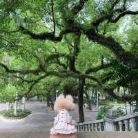 中山公園的20分鐘公園效應🍃