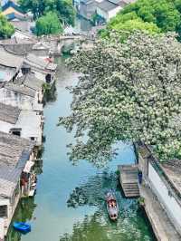 紹興旅遊攻略 魯迅故里