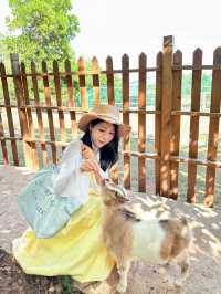 深圳周邊遊ᦗ在河源邂逅童話小鎮
