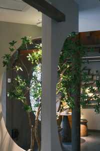紹興寶藏餐廳分享 簷下煙火.綠意成詩 青磚黛瓦在暮色裡暈開水墨 我推開雕花木門的剎那 驚起一院草木的