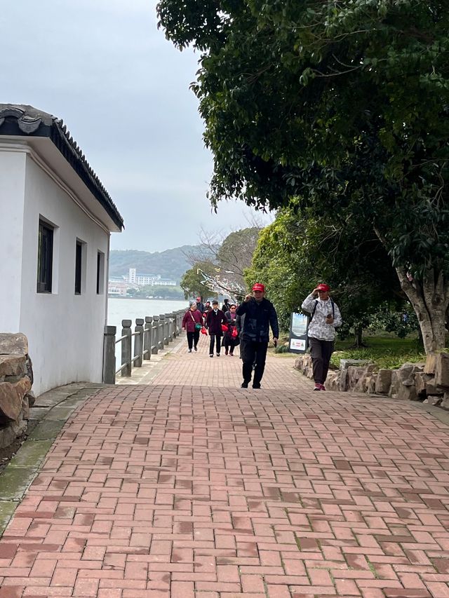 蠡園春日限定|誤入粉色櫻花仙境
